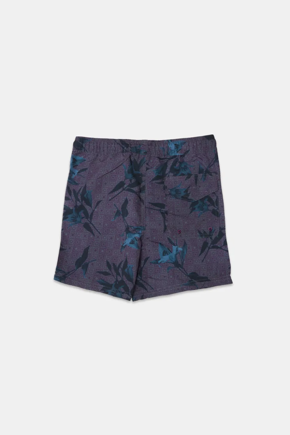 Arsenic Youth 5" Graphic Beach Shorts