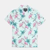 Arsenic Youth Flamingo Print Button-Up