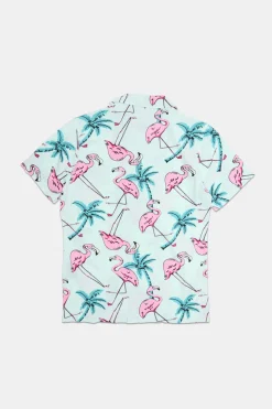 Arsenic Youth Flamingo Print Button-Up