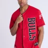 Mens Chicago Bulls Mesh Jersey
