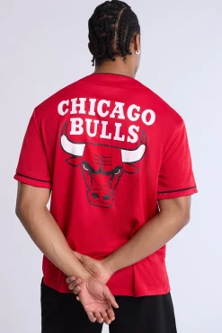 Mens Chicago Bulls Mesh Jersey