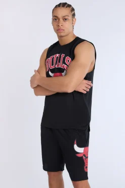 Mens Chicago Bulls Mesh Shorts