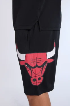 Mens Chicago Bulls Mesh Shorts
