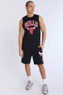 Mens Chicago Bulls Mesh Shorts