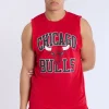 Mens Chicago Bulls Mesh Tank Top