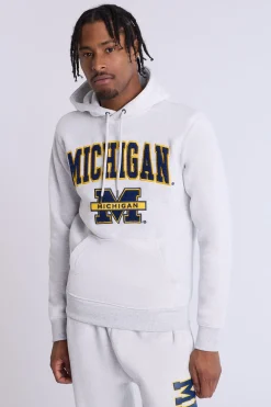 Mens Michigan Chenille Logo Hoodie