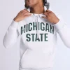 Mens Michigan State Chenille Logo Hoodie