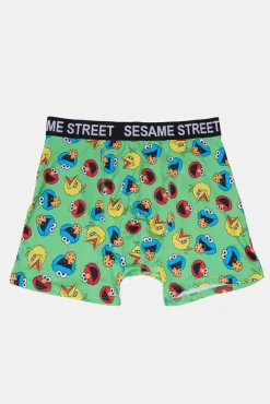 Mens Sesame Street Boxer Brief