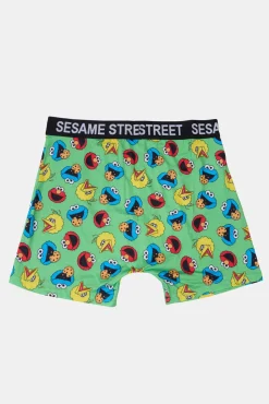 Mens Sesame Street Boxer Brief