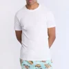 Mens SpongeBob Beach Short 7"