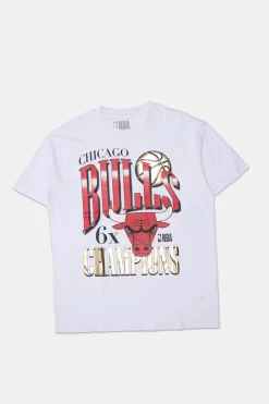 Womens Chicago Bulls Foil Boyfriend Tee