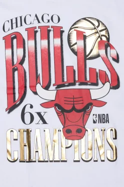 Womens Chicago Bulls Foil Boyfriend Tee