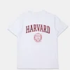 Womens Harvard Flocking BF Tee
