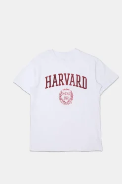 Womens Harvard Flocking BF Tee