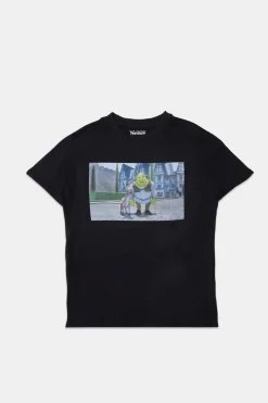 Womens Shrek Boyfriend Tee