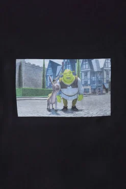 Womens Shrek Boyfriend Tee