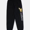 Youth Pokémon Graphic Sweatpant