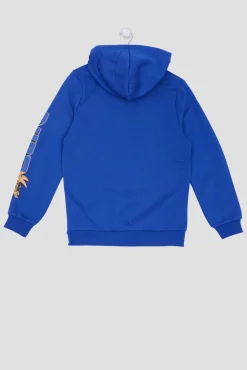 Youth Sonic The Hedgehog Graphic Hoodie