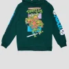 Youth Teenage Mutant Ninja Turtles Graphic Hoodie