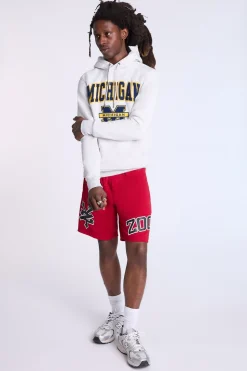 Zoo York Mens Logo Mesh Shorts
