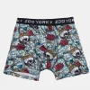 Zoo York Mens Money & Skulls Boxer Brief