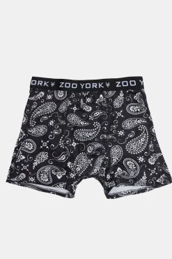 Zoo York Mens Paisley Print Boxer Brief