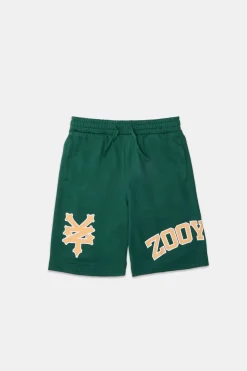 Zoo York Youth Logo Mesh Shorts