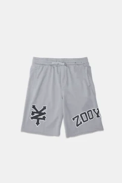 Zoo York Youth Logo Mesh Shorts