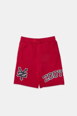 Zoo York Youth Logo Mesh Shorts
