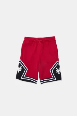 Zoo York Youth Mesh Basketball Shorts