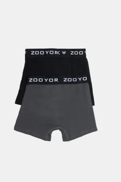 Zoo York Youth 2-Pack Boxer Briefs