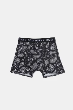 Zoo York Youth Paisley Print Boxer Brief