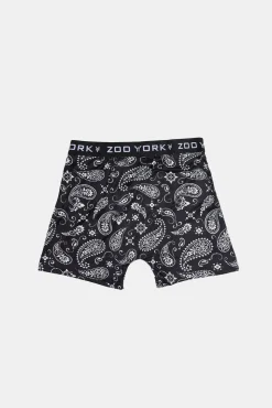 Zoo York Youth Paisley Print Boxer Brief