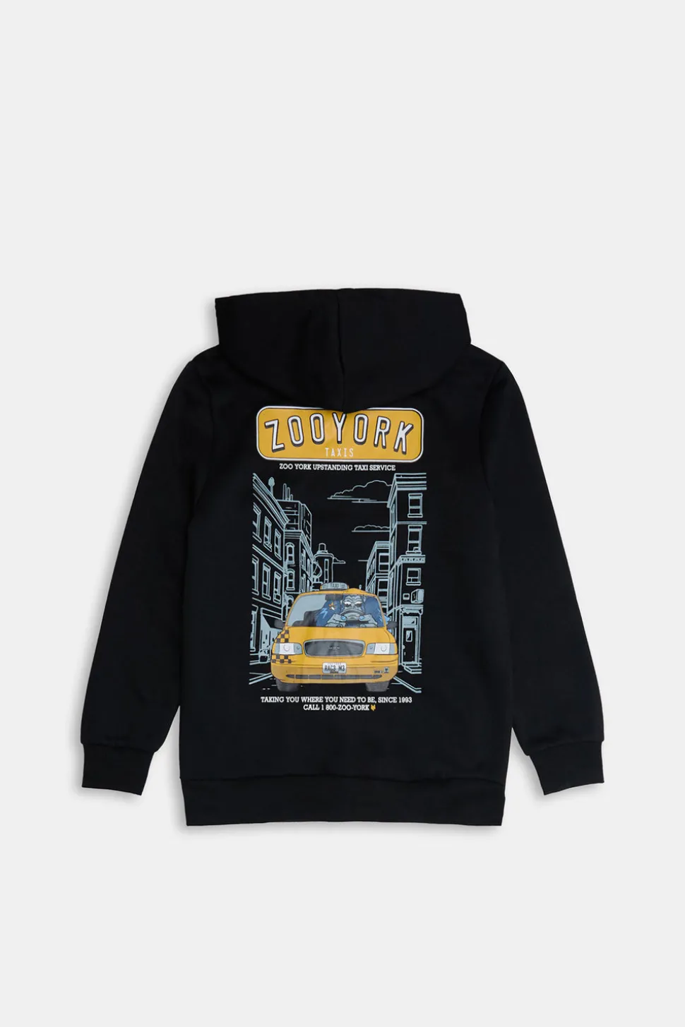 Zoo York Youth Traxi Graphic Hoodie