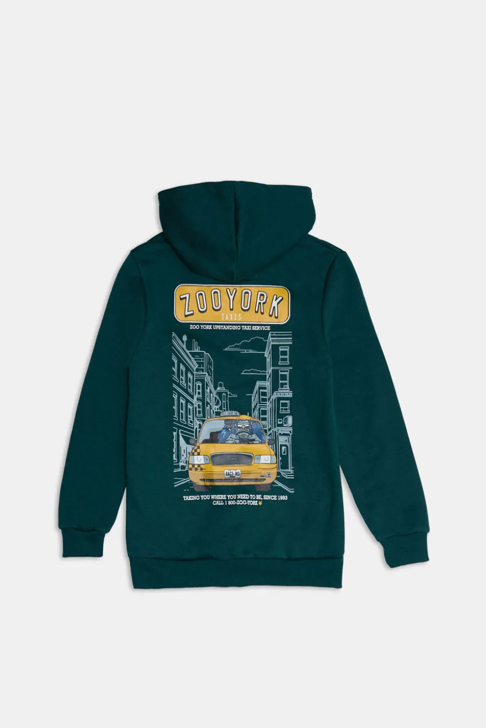 Zoo York Youth Traxi Graphic Hoodie