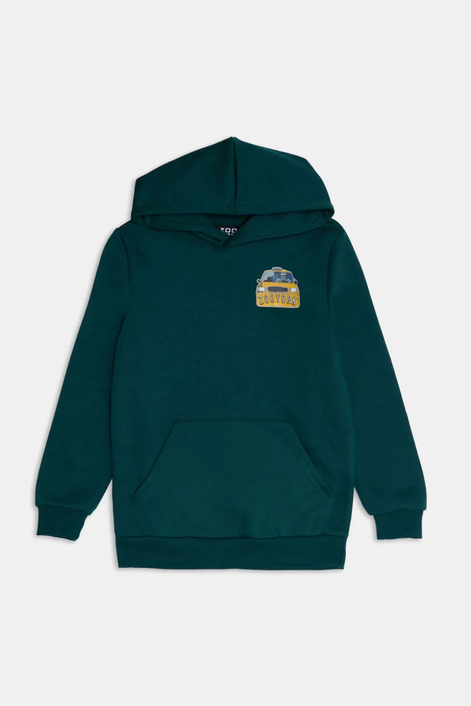 Zoo York Youth Traxi Graphic Hoodie